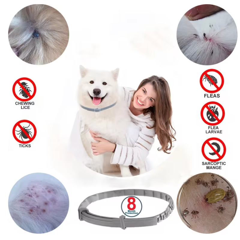 Flea and Tick Collar for Small and Large Dogs and Cats - Designed for long-lasting use
