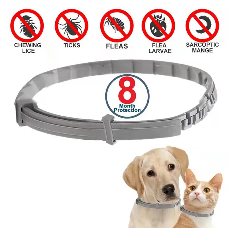 Flea and Tick Collar for Small and Large Dogs and Cats - Designed for long-lasting use
