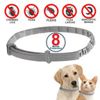 Flea and Tick Collar for Small and Large Dogs and Cats - Designed for long-lasting use