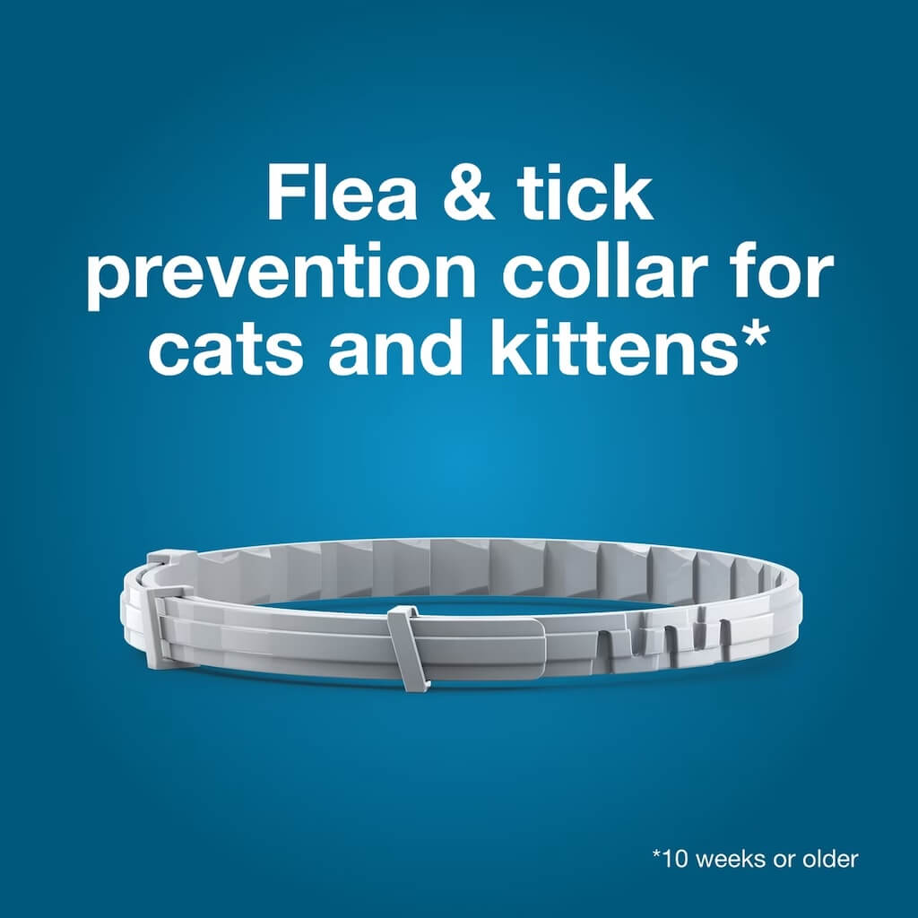 Flea and Tick Collar for Cats - Provides 8 Months of Protection and is Vet-Recommended
