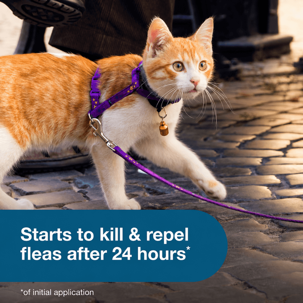 Flea and Tick Collar for Cats - Provides 8 Months of Protection and is Vet-Recommended