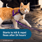 Flea and Tick Collar for Cats - Provides 8 Months of Protection and is Vet-Recommended
