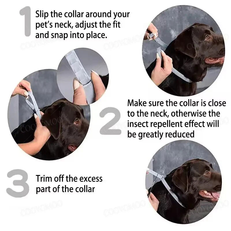 Flea and Tick Collar for Small and Large Dogs and Cats - Designed for long-lasting use